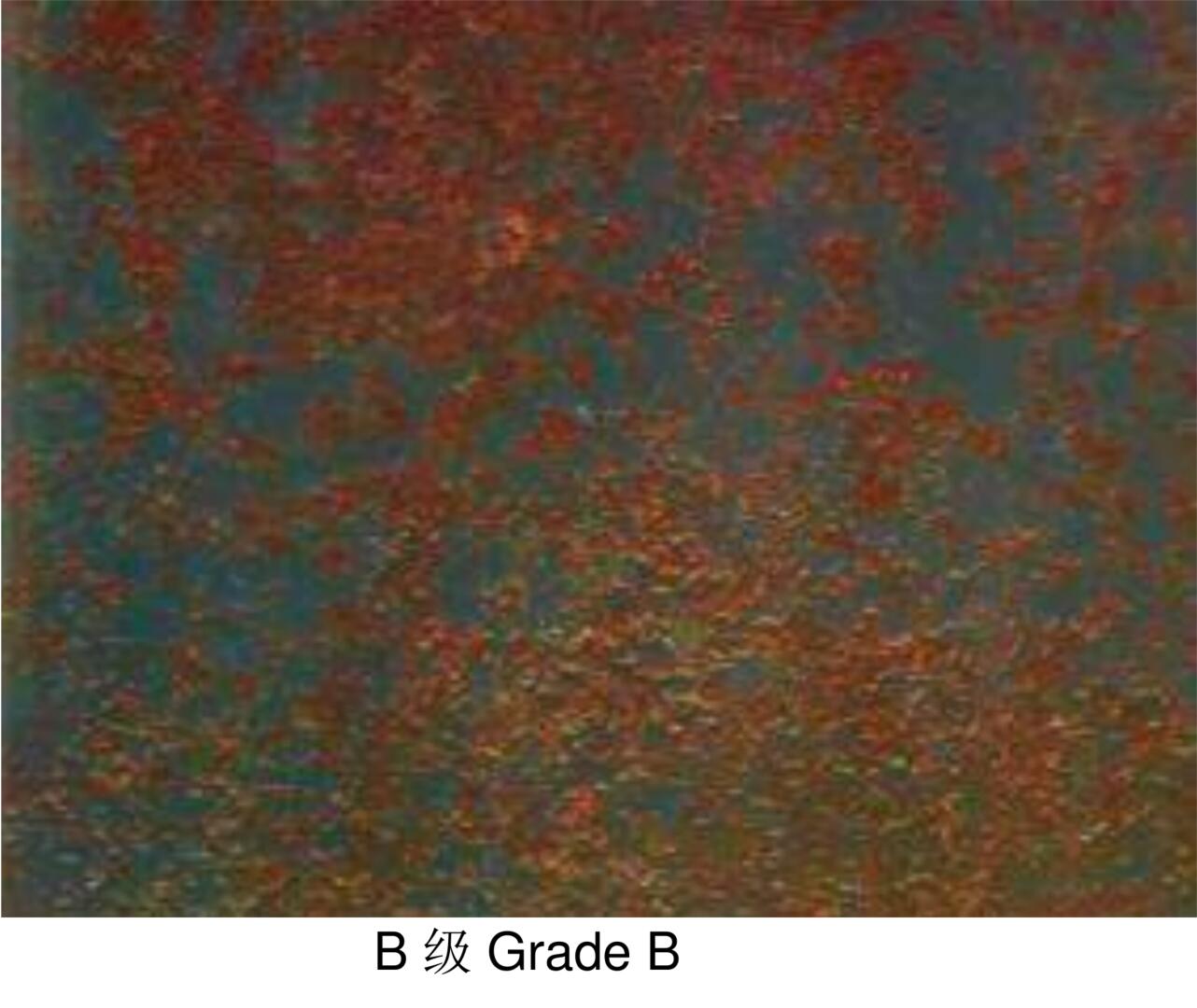 B级 Grade B.jpg